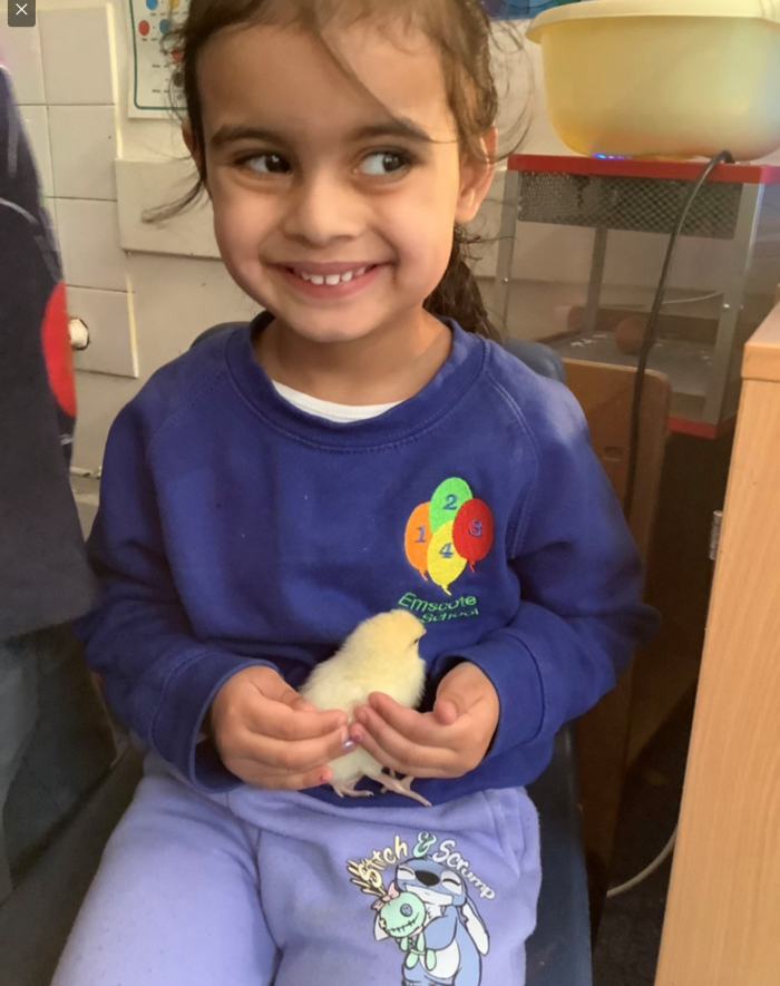 child with baby chick